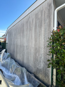 Photo de galerie - Peinture - Tapisserie