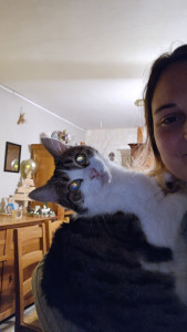 Photo de galerie - Garde de chat