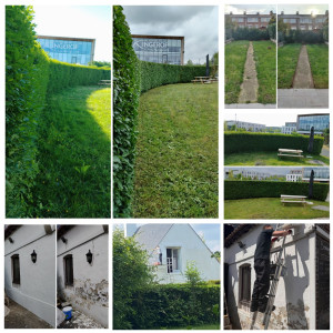 Photo de galerie - Taille de haies,tontes de pelouse, peindre façade 