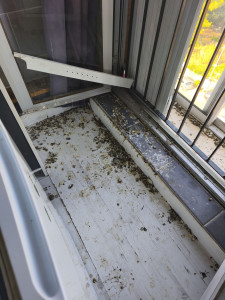 Photo de galerie - Ménage