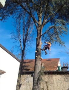 Photo de galerie - Jardin / Espace vert