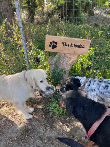 Photo de galerie - Sati, Ulysse et Ufana 