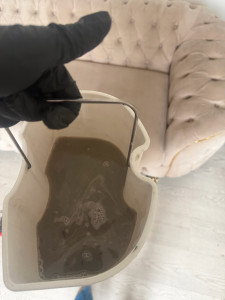 Photo de galerie - Désinfecter 