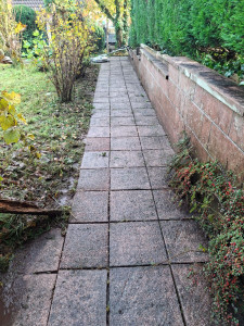 Photo de galerie - Jardinier