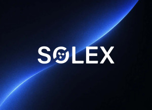 Photo de galerie - Logo Solex