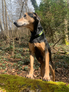 Photo de galerie - En balade 