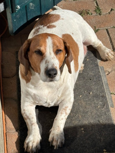 Photo de galerie - Petite bronzette 