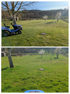 Photo de galerie - Tonte de pelouse - Débroussaillage