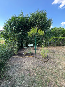 Photo de galerie - Paysagiste - Aménagement du jardin