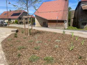 Photo de galerie - Création d’un massif fleuri 