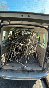 Photo de galerie - Elagage et coupe d'arbres