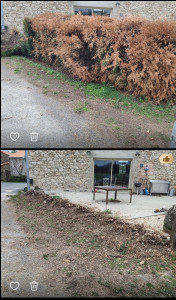 Photo de galerie - Arrachage de haie