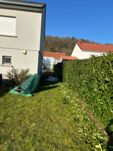 Photo de galerie - Taille de haies