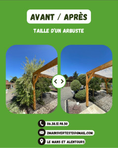 Photo de galerie - Taille d’arbuste avant/après