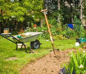 Photo de galerie - Réalise tous travaux de jardinage. Entretien, Création......