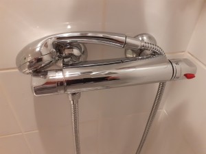 Photo réalisation - Plomberie - Installation sanitaire - Nicolas B. - Avrillé (La Ternière) : Remplacement de flexibles de douche, de robinets et thermostatiques existants.