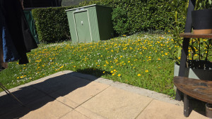 Photo de galerie - Jardin