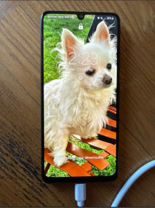Photo de galerie - Réparation de téléphone 