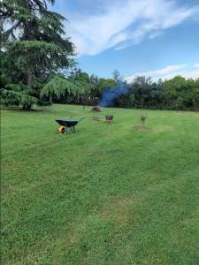 Photo de galerie - Belle pelouse.