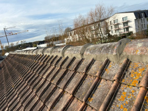 Photo de galerie - Rénovation sur faîtage 