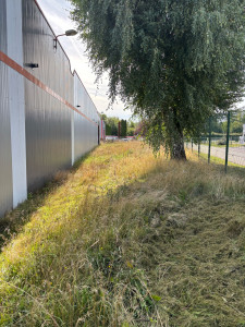 Photo de galerie - Grosse tonte et débroussaillage partie 1