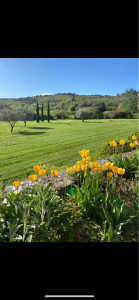 Photo de galerie - Tonte soigné d’un vaste espace de gazon 