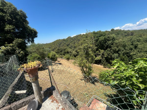 Photo de galerie - Tonte de pelouse - Débroussaillage