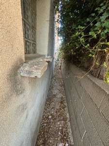 Photo de galerie - Taille de haies et d'arbustes