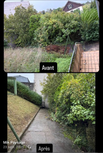 Photo de galerie - Tonte de pelouse - Débroussaillage