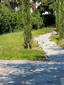 Photo de galerie - Tonte de pelouse - Débroussaillage