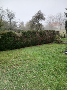 Photo de galerie - Taille de haie chez un client 