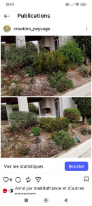 Photo de galerie - Entretien massif méditerranéen 