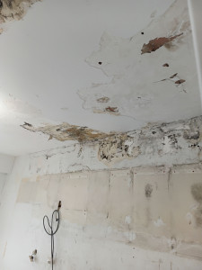 Photo de galerie - Rénovation cuisine après dégât des eaux 