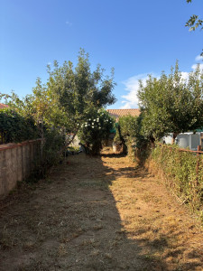 Photo de galerie - Entretien jardin