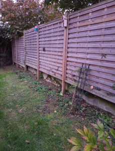 Photo de galerie - Paysagiste - Aménagement du jardin