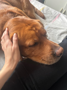 Photo de galerie - Stanley