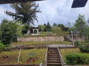 Photo de galerie - Tonte de pelouse - Débroussaillage