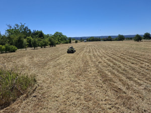 Photo de galerie - Tonte de pelouse - Débroussaillage