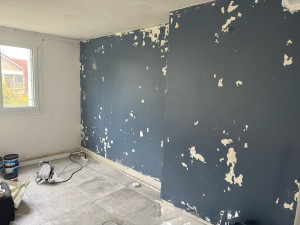 Photo de galerie - Début des travaux, avant d’enduire tout le mur, j’ai d’abord appliqué une bonne couche d’impression, cette technique est très importante pour réaliser un travail de qualité 