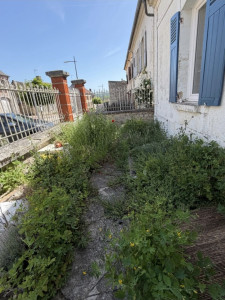 Photo de galerie - Tonte de pelouse - Débroussaillage