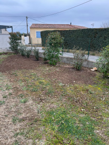 Photo de galerie - Plantation haie 