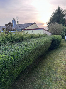 Photo de galerie - Tonde, débroussaillage etc..