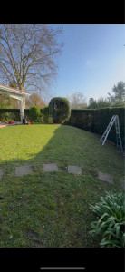 Photo de galerie - Tonte et taille de haie 