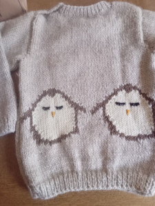 Photo de galerie - Version pull enfant 