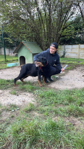 Photo de galerie - Visite Rottweiler