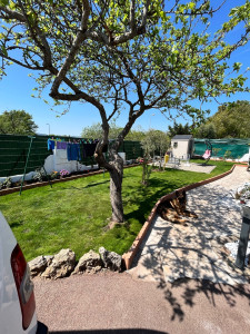 Photo de galerie - Paysagiste - Aménagement du jardin