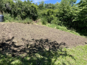 Photo de galerie - Débroussaillage + motoculteur 
herbes 1m50 de hauteur 
jardin prêt a cultiver 