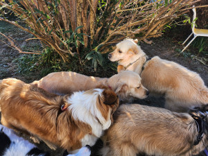 Photo de galerie - Les copains