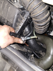 Photo de galerie - N
