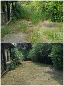 Photo de galerie - Tonte de pelouse - Débroussaillage